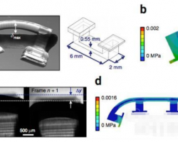 伊利諾伊大學(xué)分享3D打印生物機器人制作指南